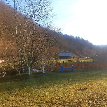 Vikendica Nole Jahorina Βίλα Pale Εξωτερικό φωτογραφία