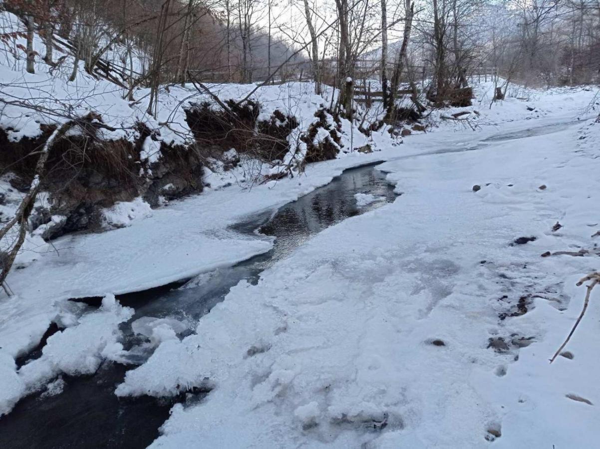 Vikendica Nole Jahorina Βίλα Pale Εξωτερικό φωτογραφία