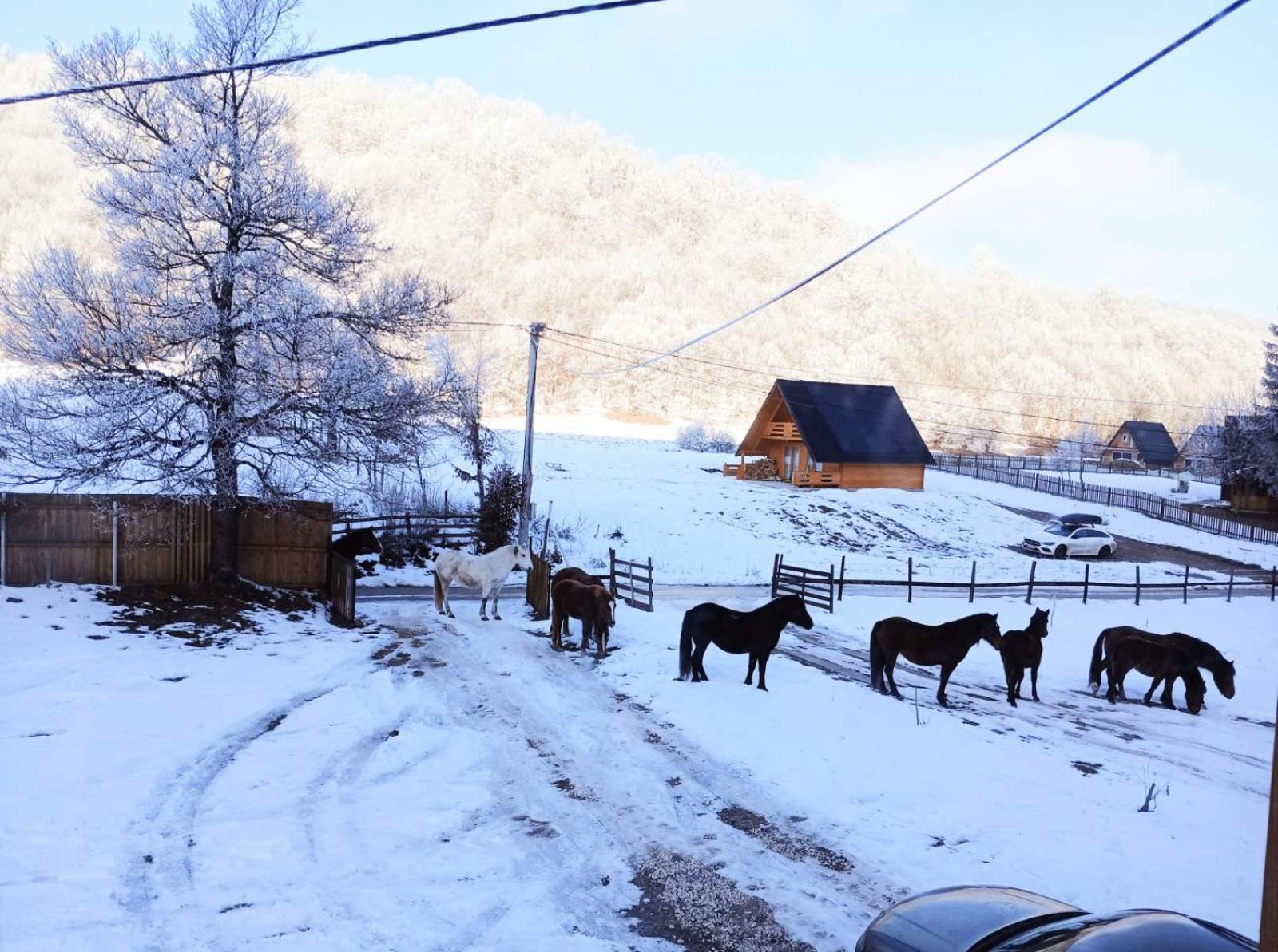 Vikendica Nole Jahorina Βίλα Pale Εξωτερικό φωτογραφία